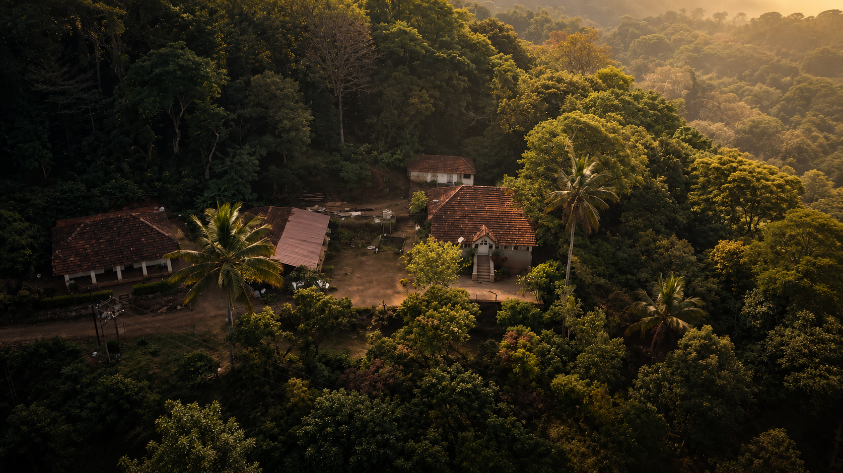 From our hills to your table.